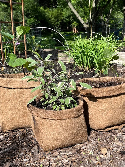 Hemp Fabric Material Pot Planter - Eco-Friendly Grow Bag Natural Plastic Free