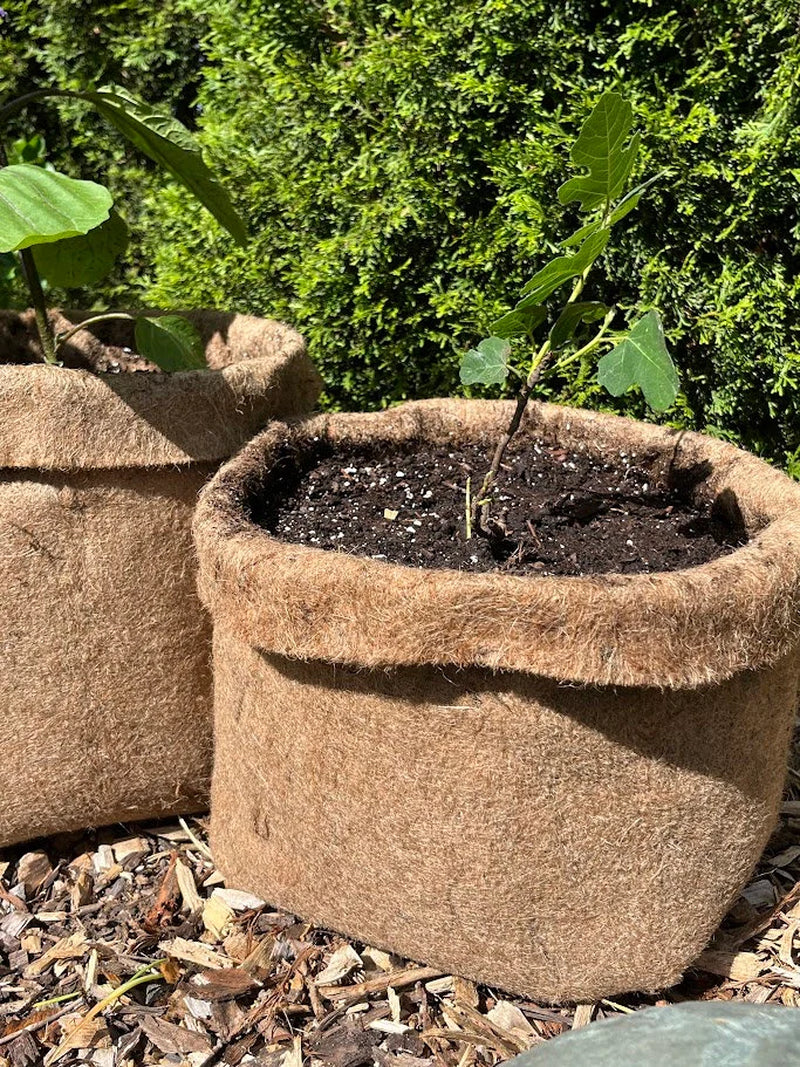 Hemp Fabric Material Pot Planter - Eco-Friendly Grow Bag Natural Plastic Free