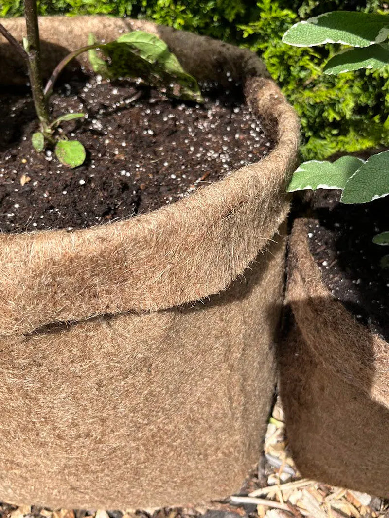Hemp Fabric Material Pot Planter - Eco-Friendly Grow Bag Natural Plastic Free