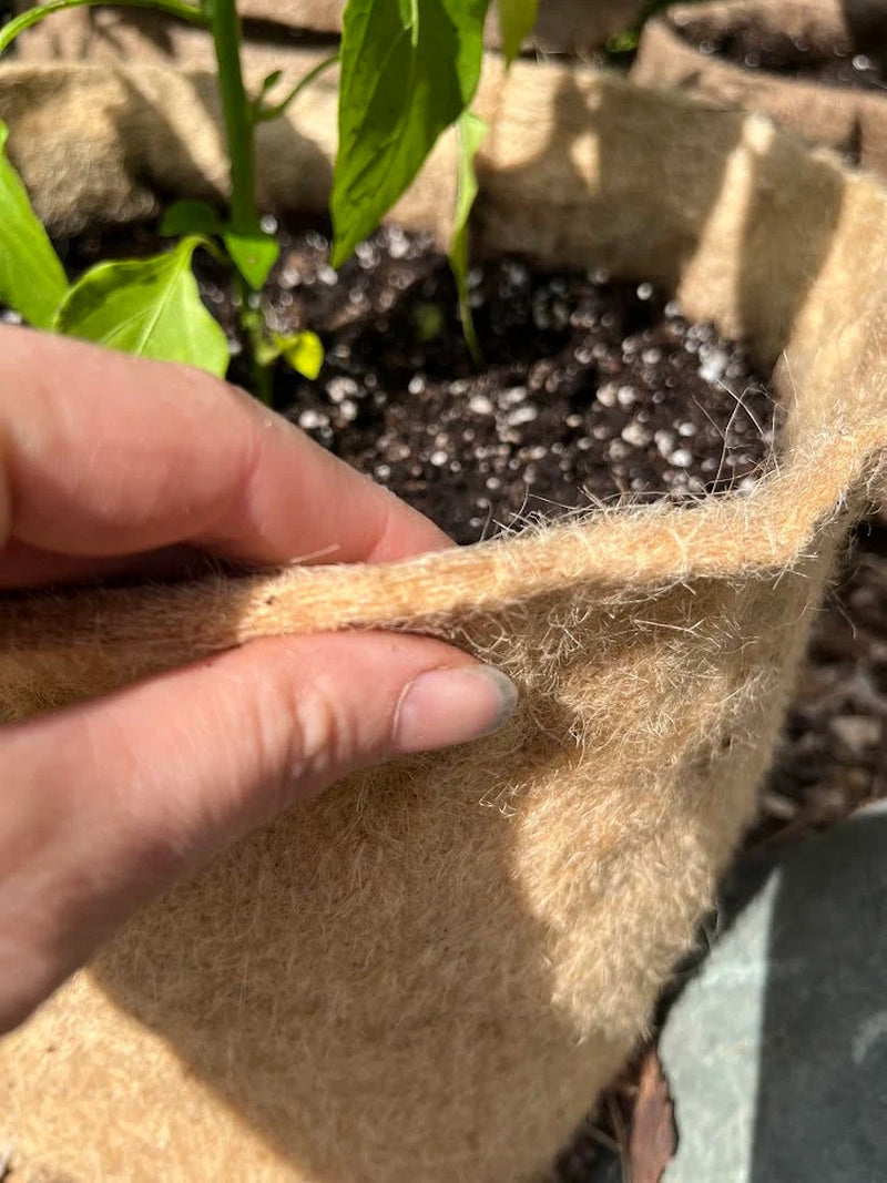 Hemp Fabric Material Pot Planter - Eco-Friendly Grow Bag Natural Plastic Free