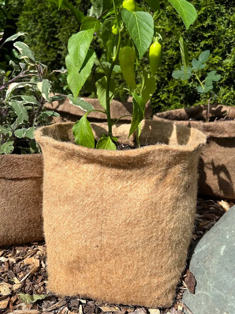Hemp Fabric Material Pot Planter - Eco-Friendly Grow Bag Natural Plastic Free