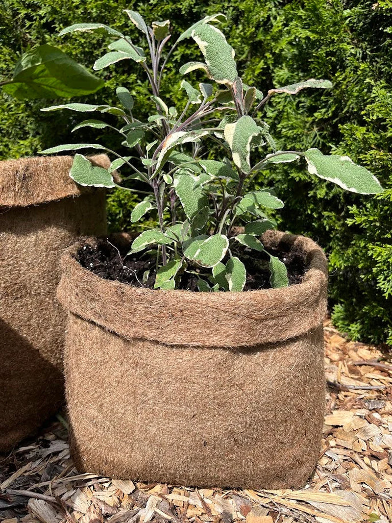 Hemp Fabric Material Pot Planter - Eco-Friendly Grow Bag Natural Plastic Free