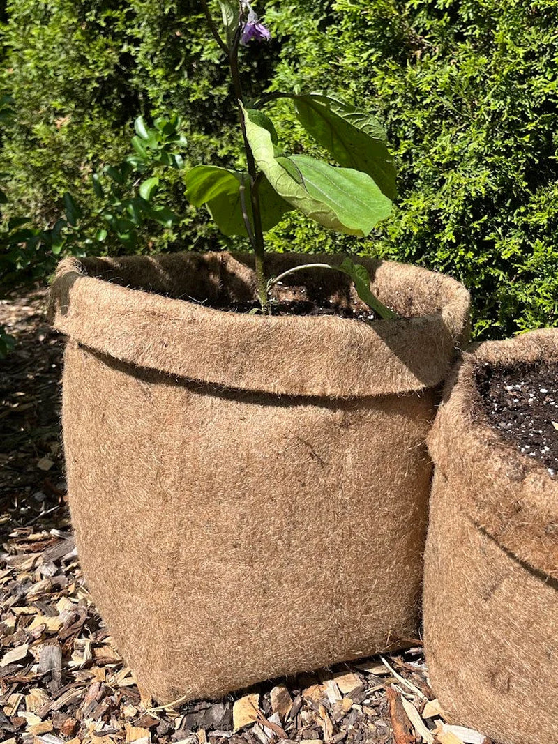 Hemp Fabric Material Pot Planter - Eco-Friendly Grow Bag Natural Plastic Free
