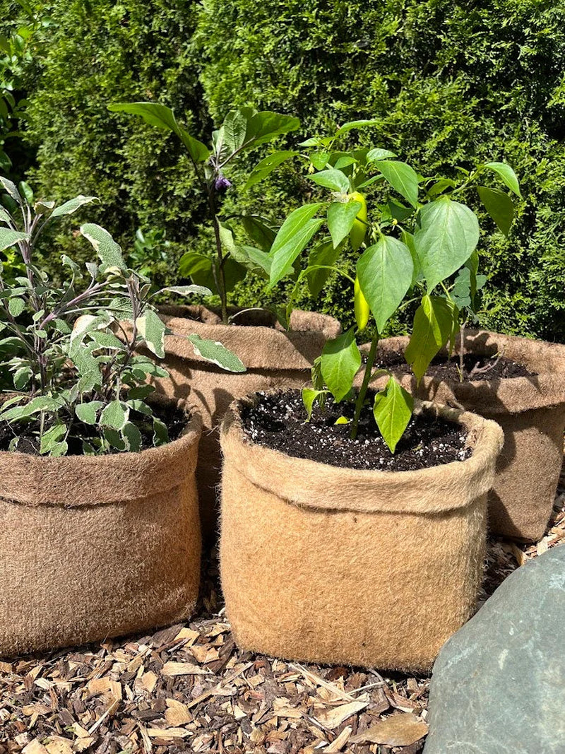 Hemp Fabric Material Pot Planter - Eco-Friendly Grow Bag Natural Plastic Free
