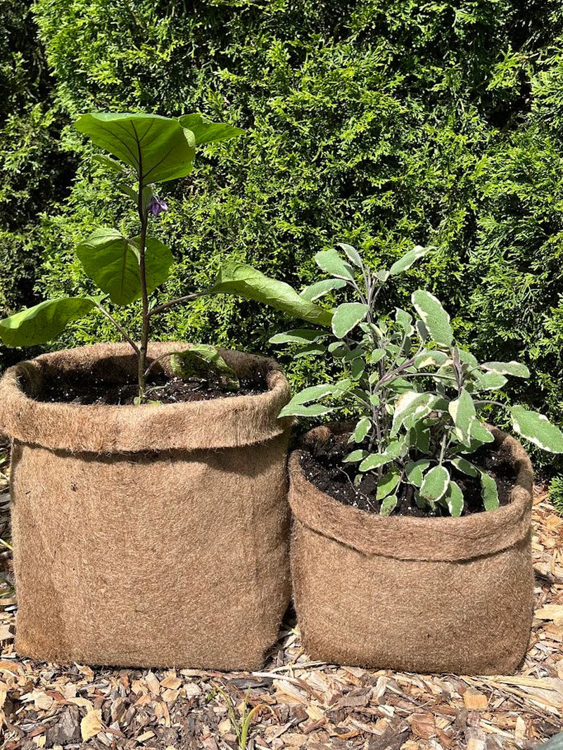 Hemp Fabric Material Pot Planter - Eco-Friendly Grow Bag Natural Plastic Free