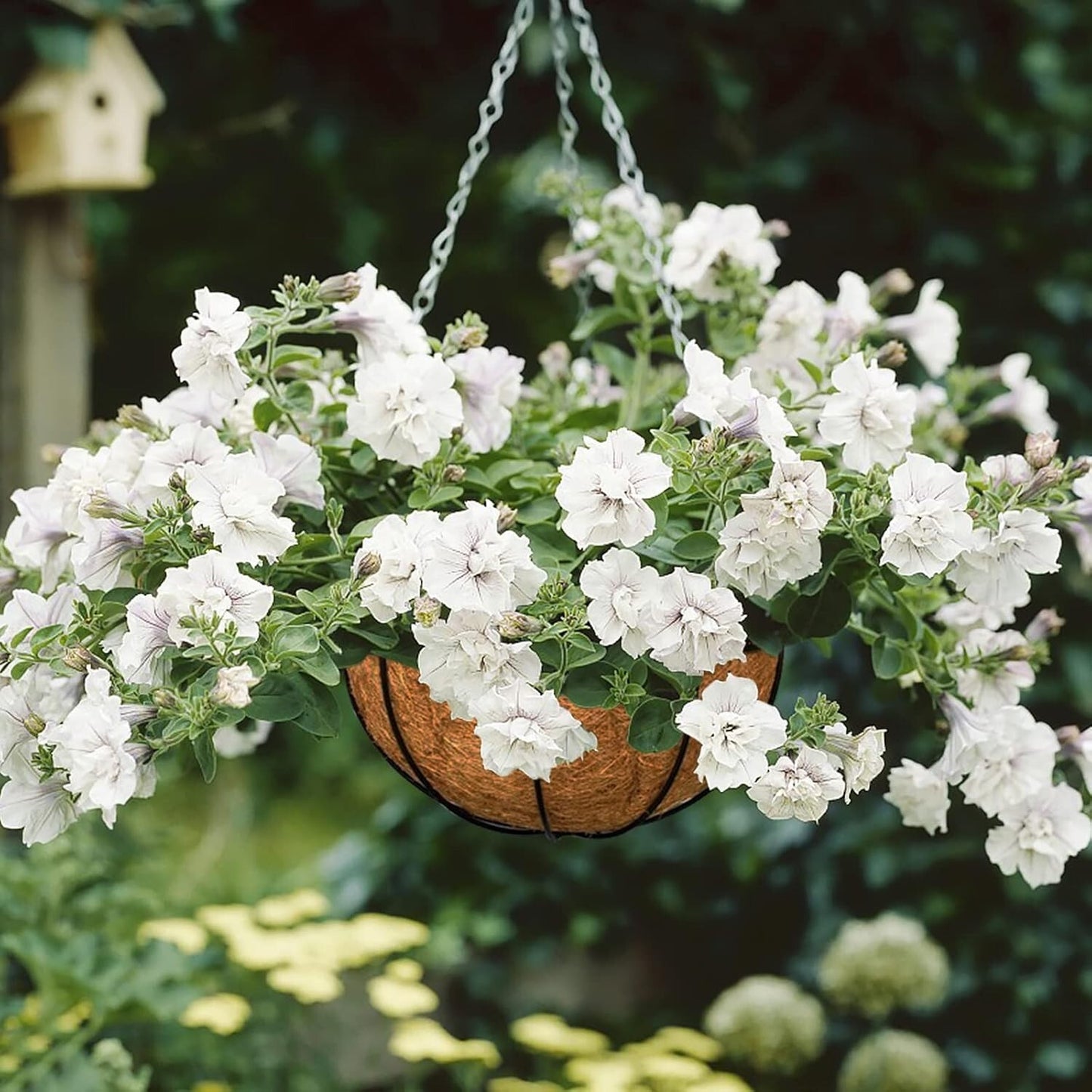 6Pcs 14Inch Coconut Liners for Planters round Hanging Basket Liners 100% Natural